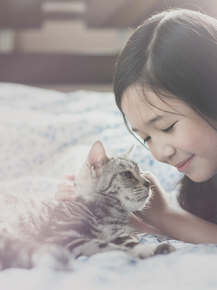 Topスライド画像1