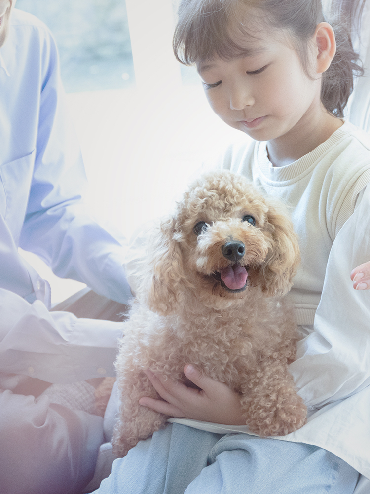 Topスライド画像2